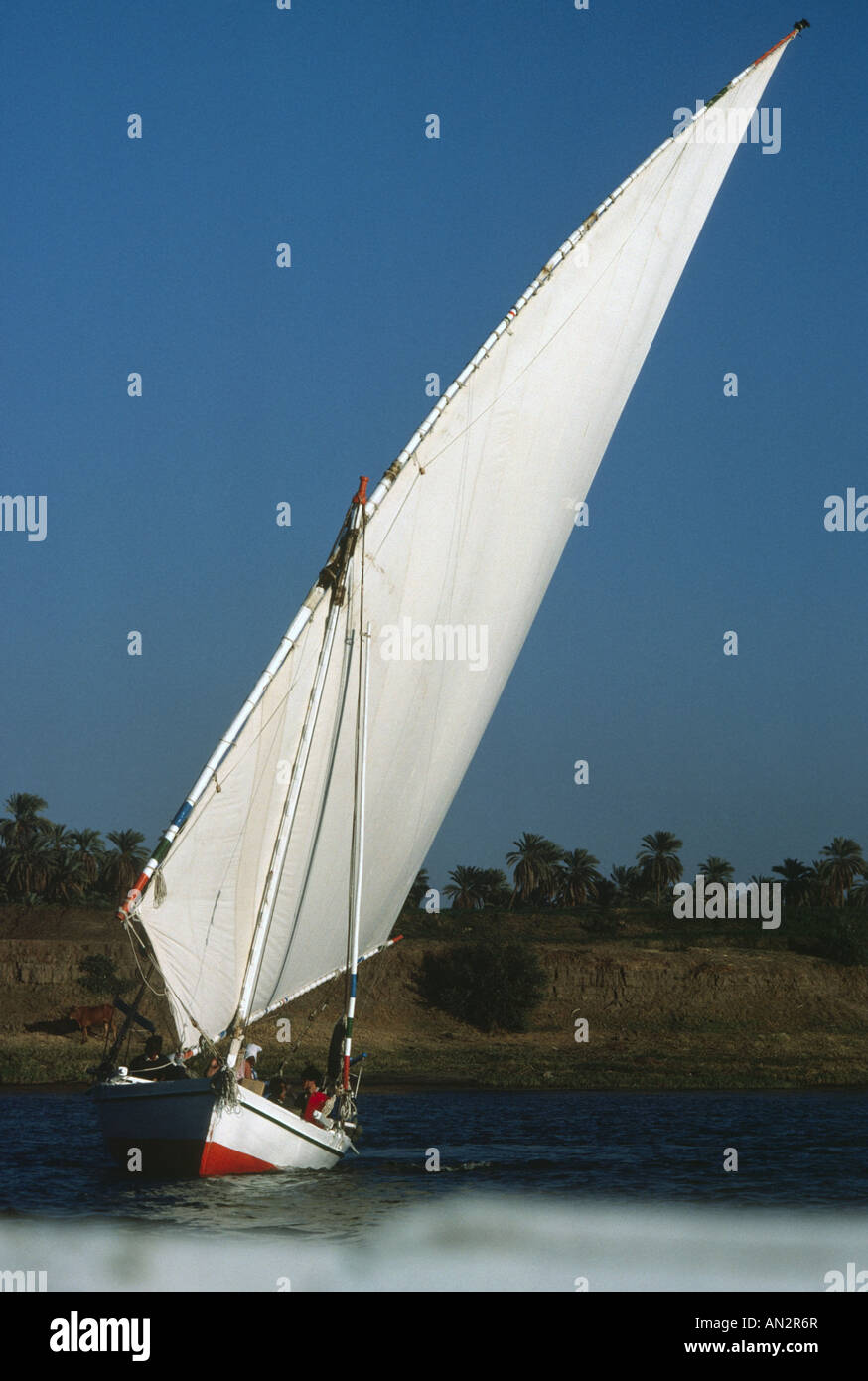The white slander sail of a Nile felucca Egypt Stock Photo