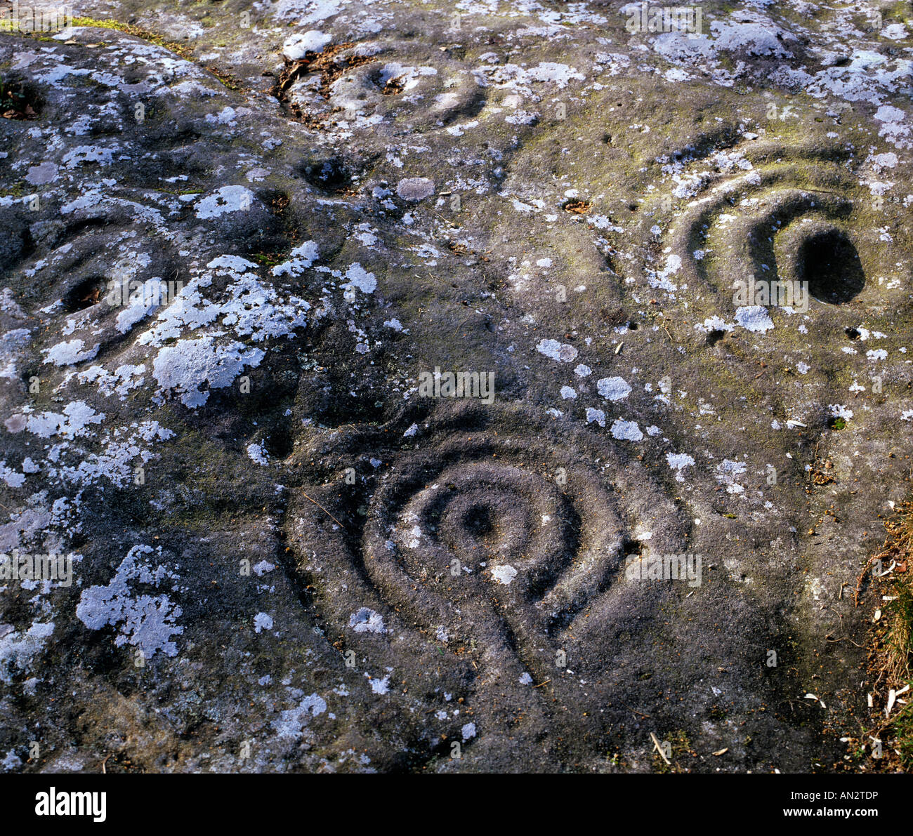 A bronze age cup and ring marked stone near Roughting Linn in Northumberland, England Stock Photo