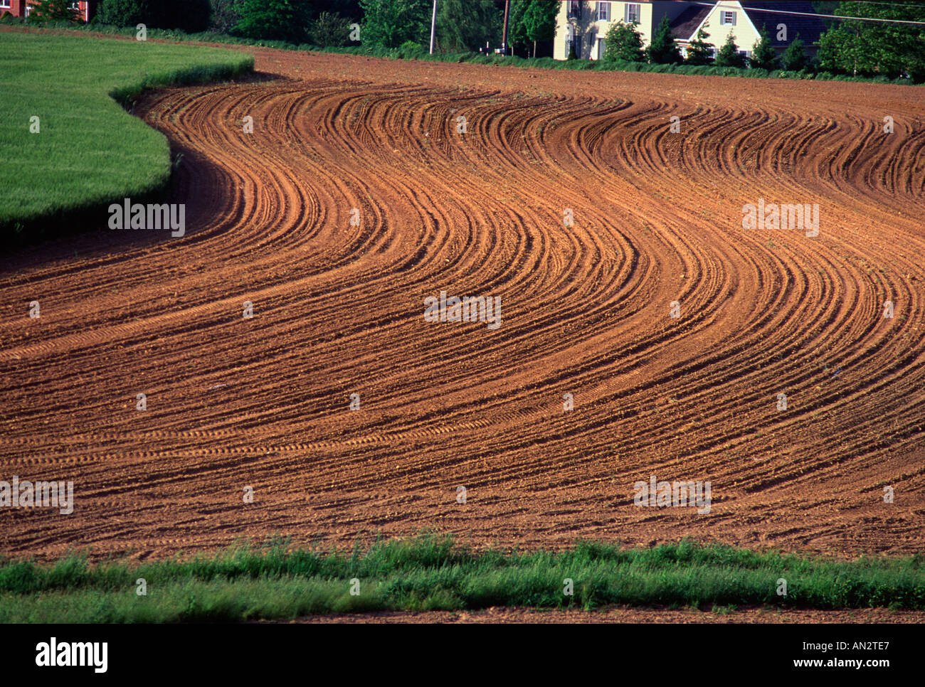 Freshly plowed prime agricultural farm land near Central Manor Lancaster County Pennsylvania USA Stock Photo
