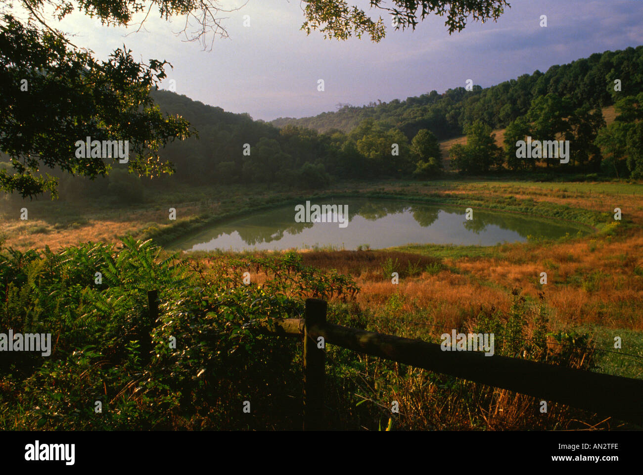 Country pond in summer on farm north of Lancaster Pennsylvania USA Stock Photo