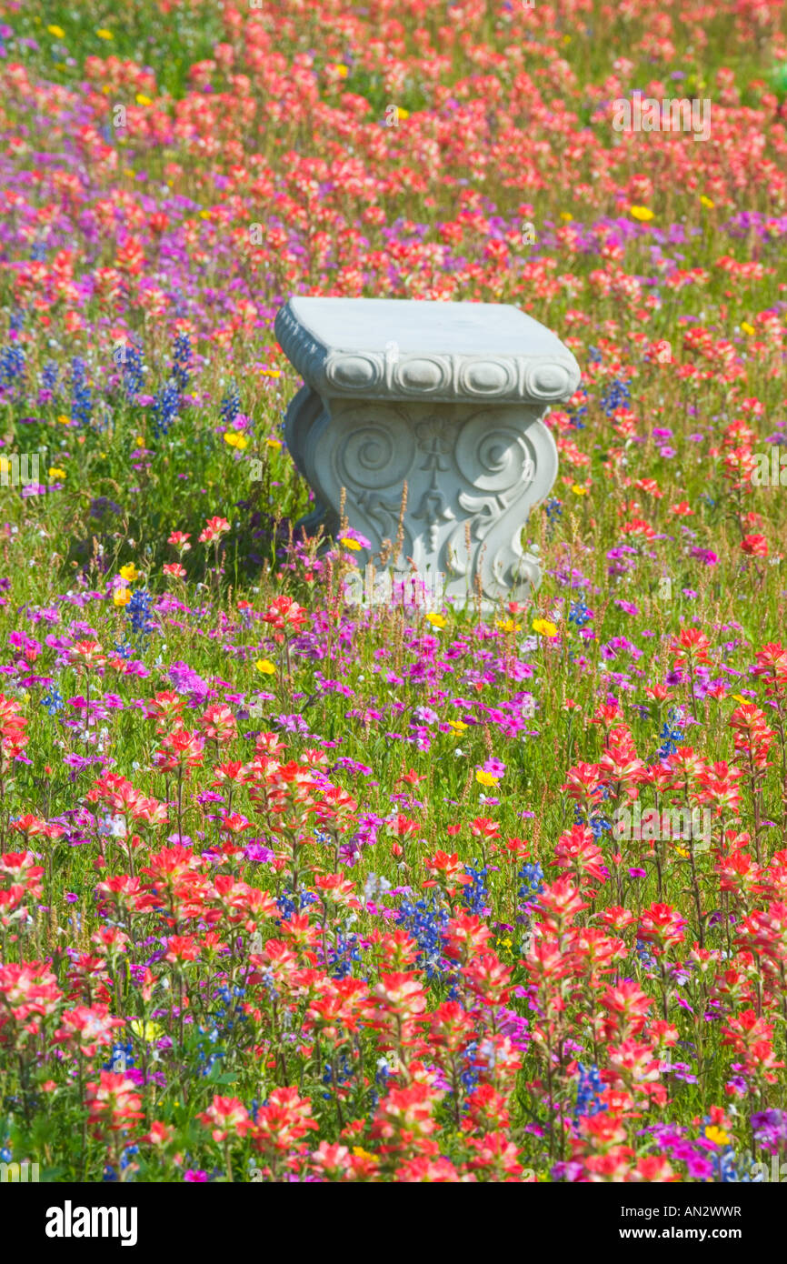 Bench in Grave Yard near Nixon Texas surrounded by wildflowers Stock