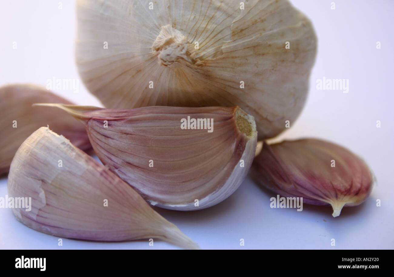 Vampires hires stock photography and images Alamy