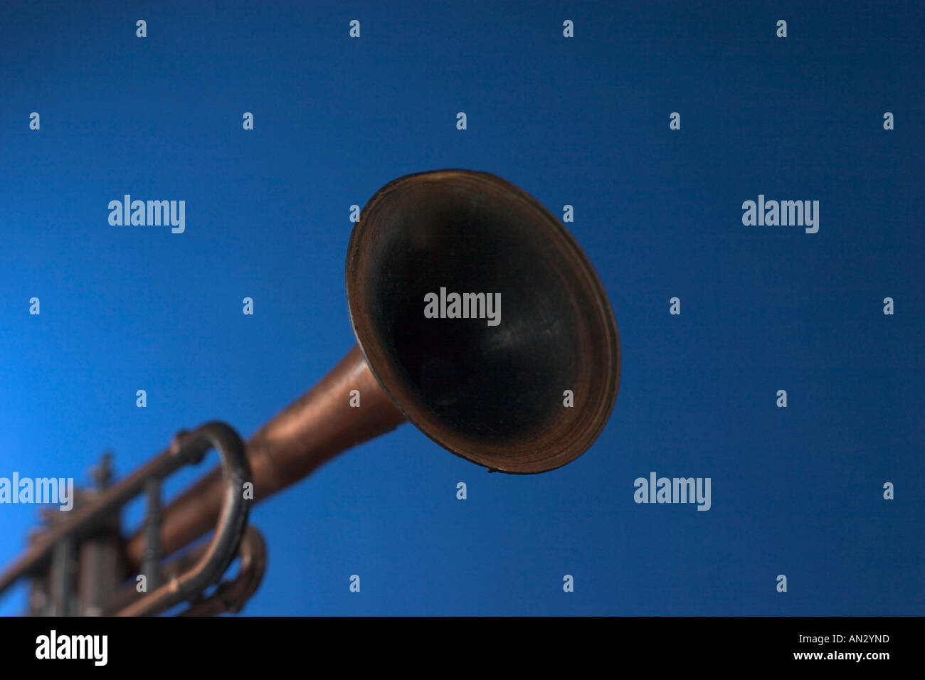 toy trumpet on blue background Stock Photo - Alamy