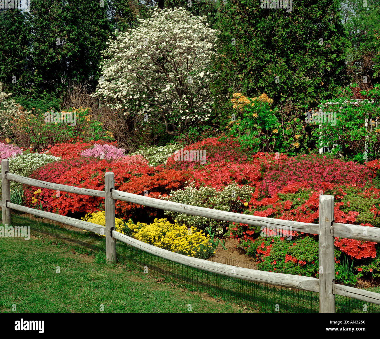 flower garden with split rail wooden fence Stock Photo - Alamy flower garden with split rail wooden fence Stock Photo - Alamy