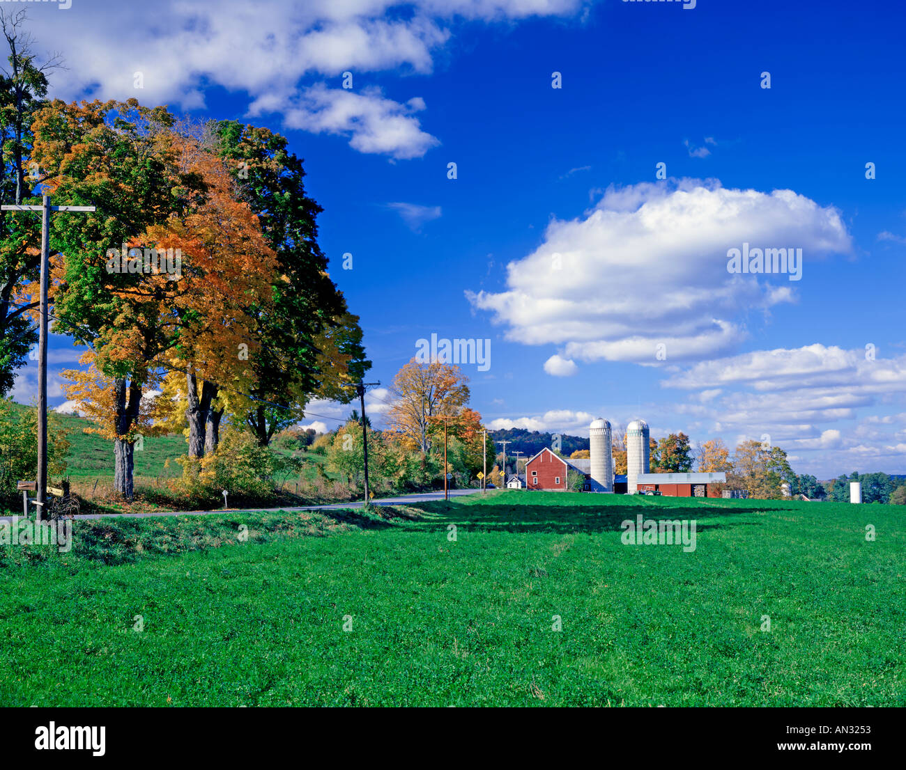 farm near Oneonta New York USA Stock Photo Alamy