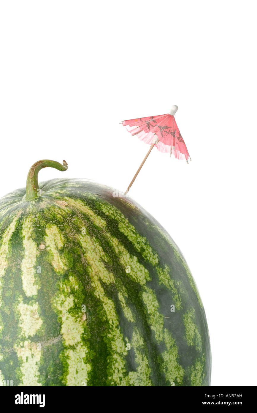 coach watermelon umbrella