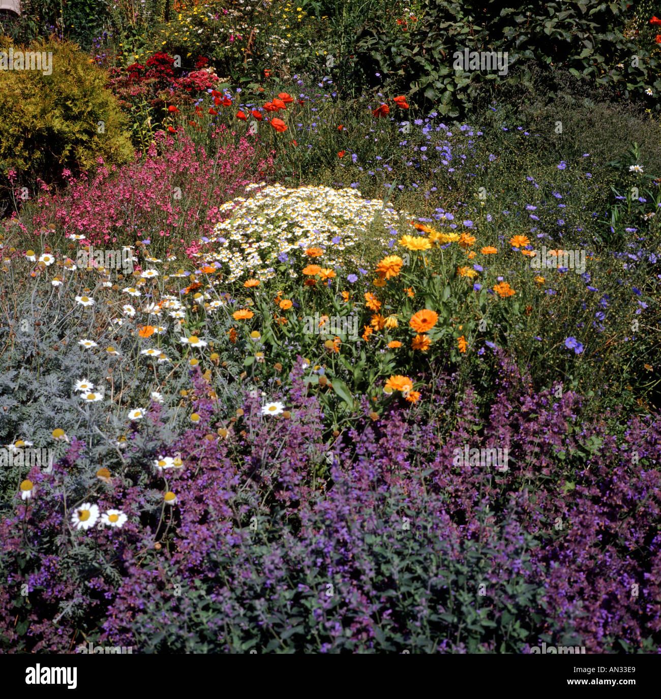 English Country Cottage Garden Wiltshire England Stock Photo