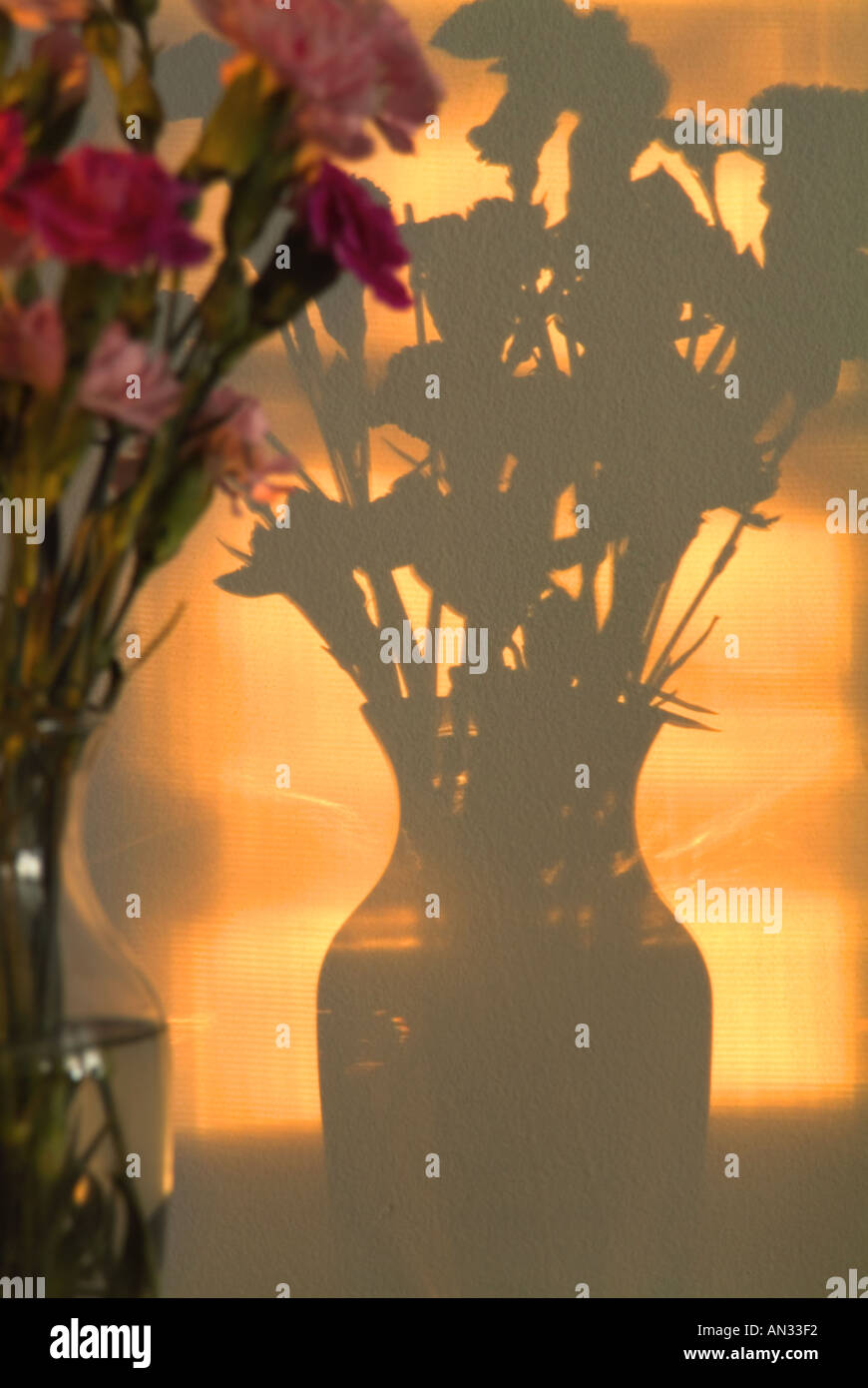 Flower Vase Shadow Stock Photo Alamy