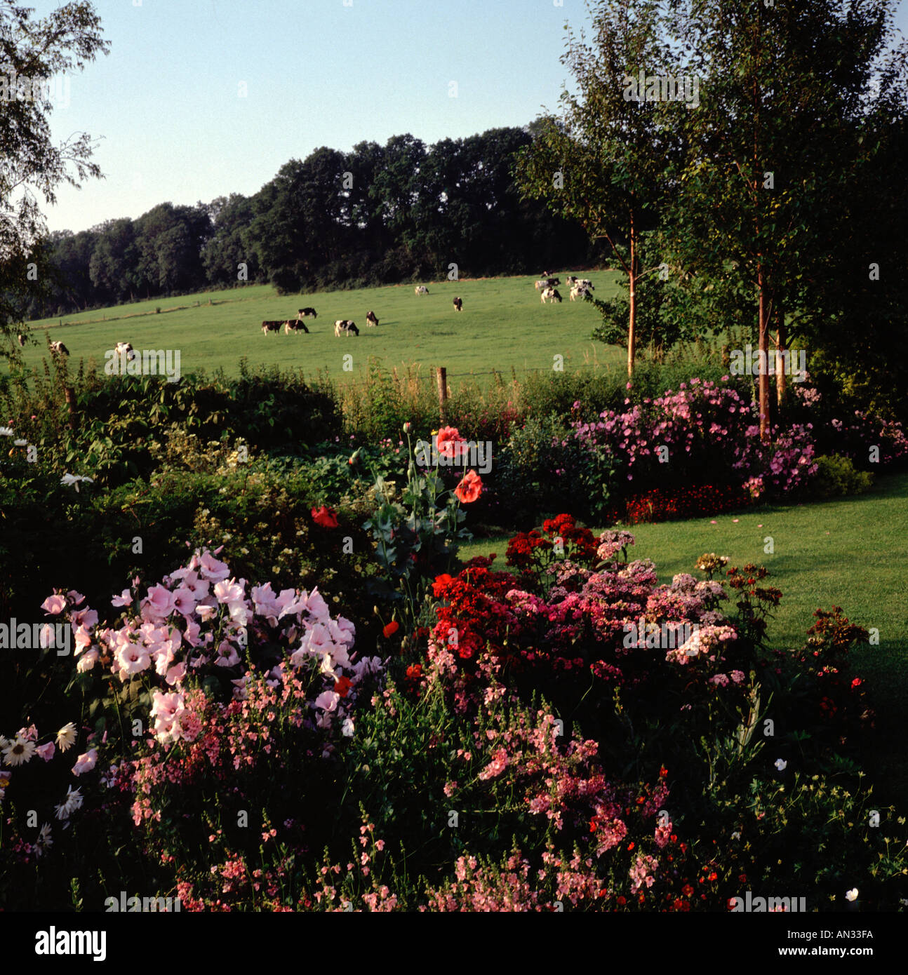 English country cottage garden Wiltshire England Stock Photo - Alamy