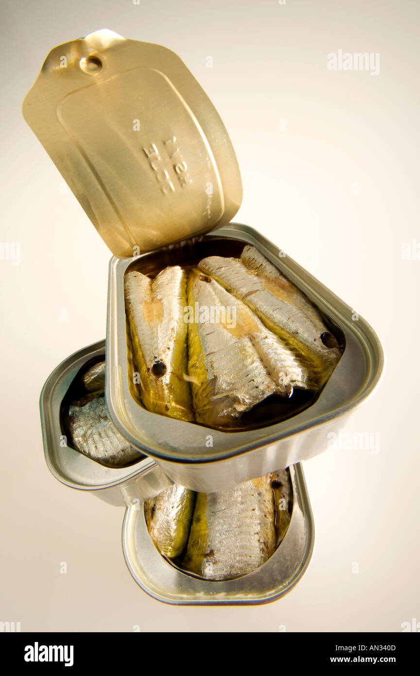 Sardines in a can Stock Photo Alamy