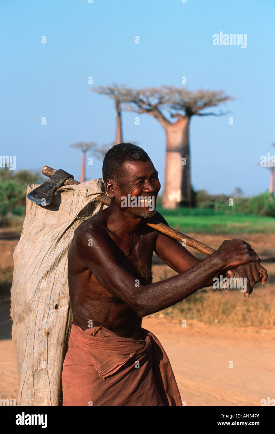 Madagascar Local subsistence farmer with baobab trees in the background Madagascar Stock Photo