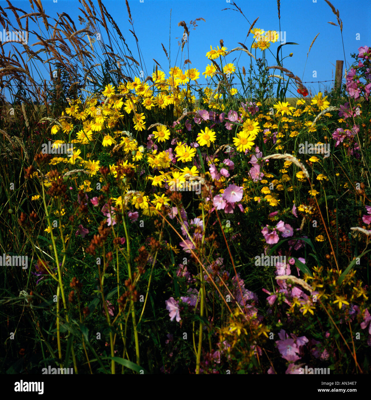 English border country hi-res stock photography and images - Alamy