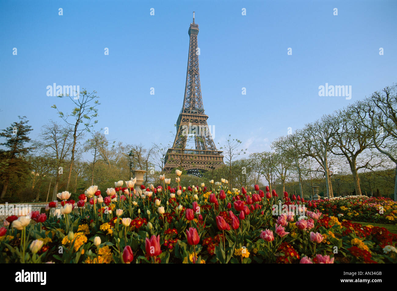 Eiffel Tower (Tour Eiffel) with Spring Flowers, Paris, France Stock Photo