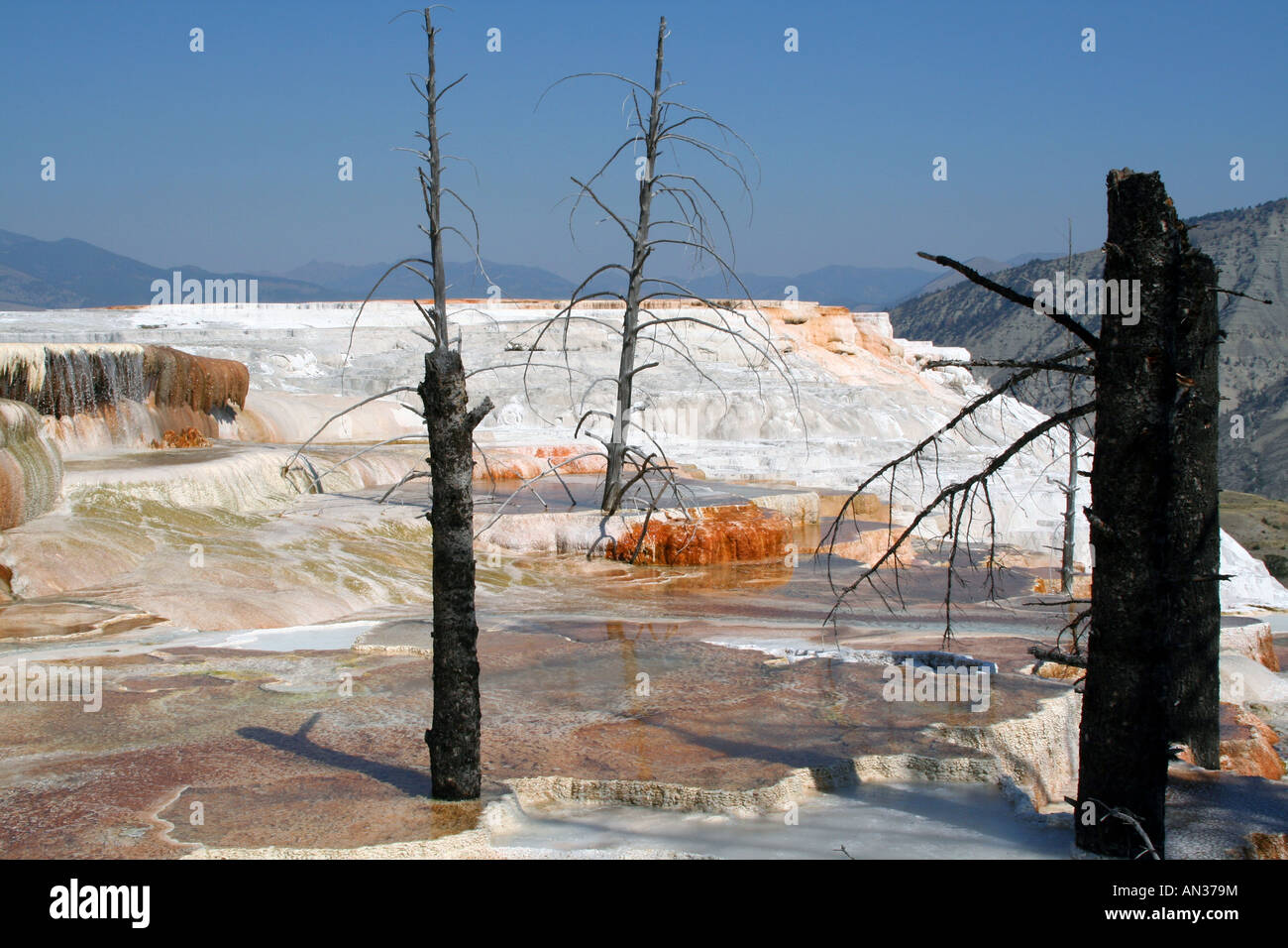 Canary Spring, Upper Terrace Drive, Mammoth Hot Springs, Yellowstone