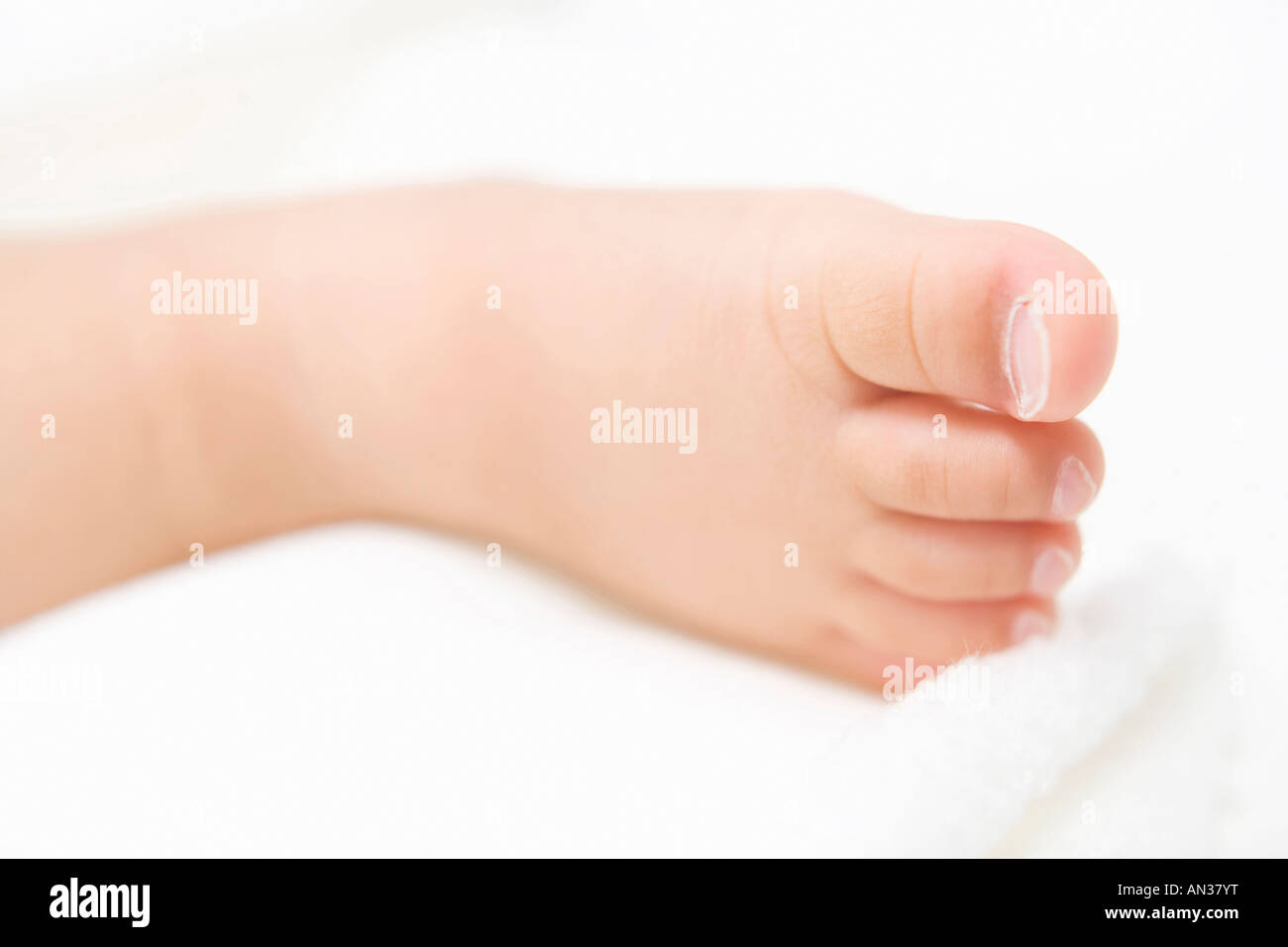 Tiny foot of baby Stock Photo - Alamy