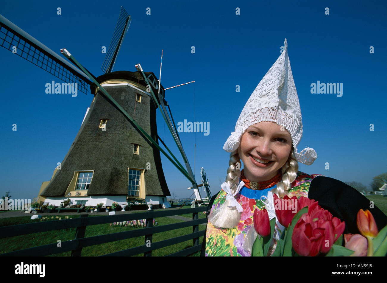 Girl Dressed in Dutch Costume in front of Windmill, Zaanse Schans ...