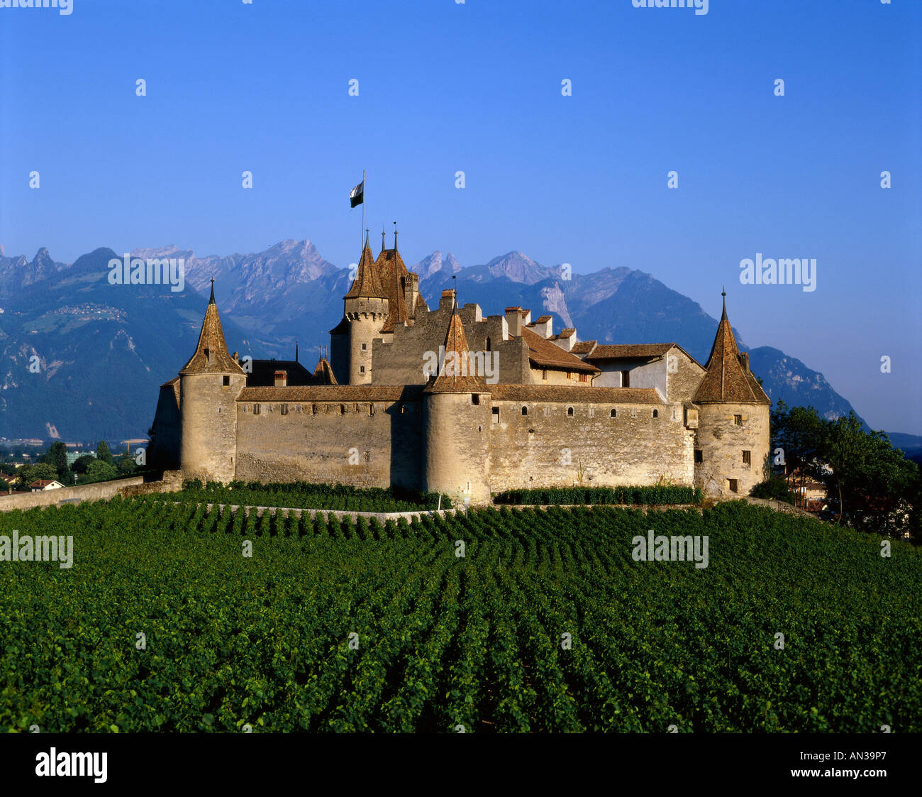 Aigle Castle (Chateau d'Aigle) / Vineyards & Alps Mountains, Aigle Stock  Photo - Alamy