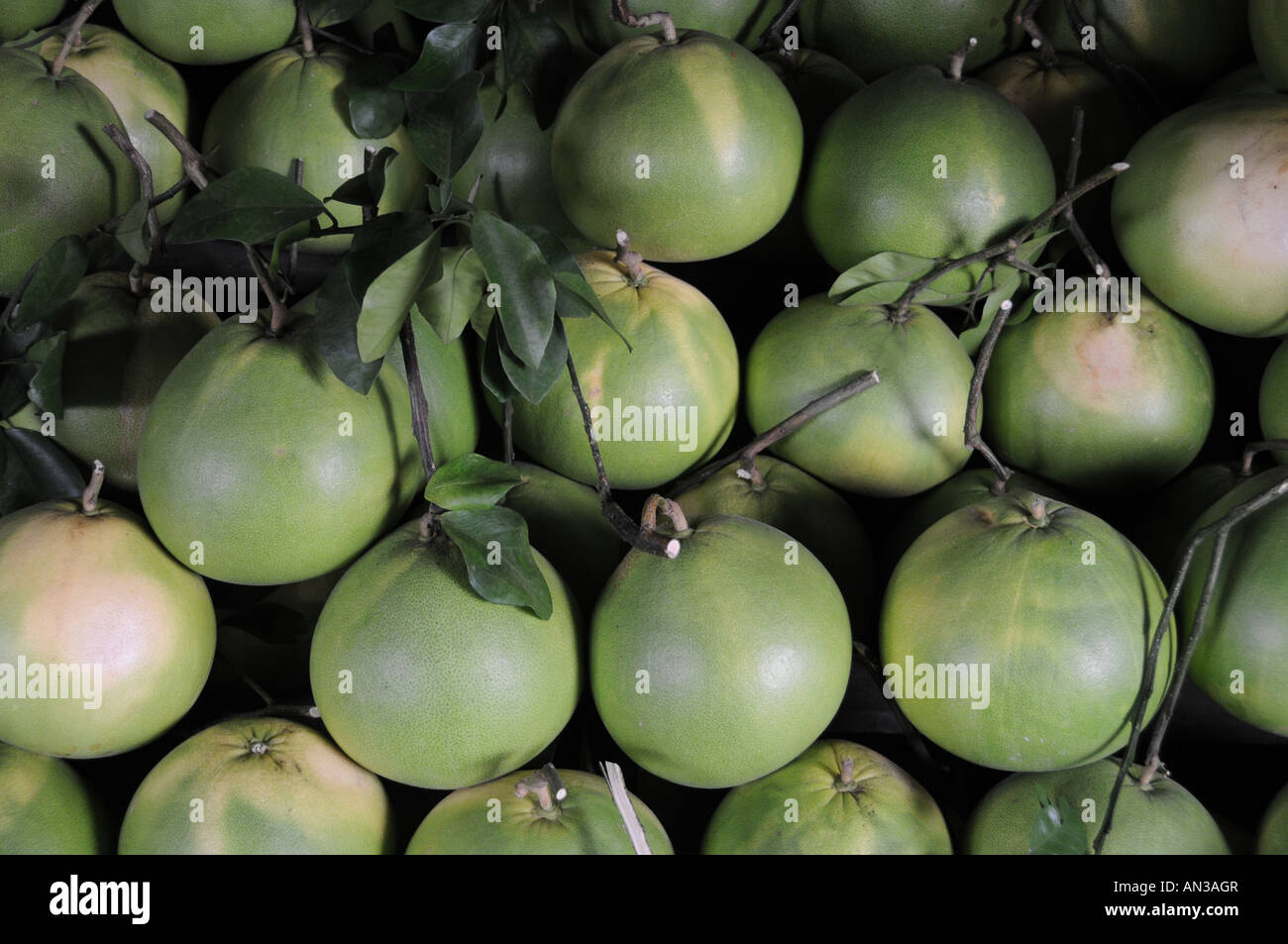 Pomelo fruit ipoh hires stock photography and images Alamy