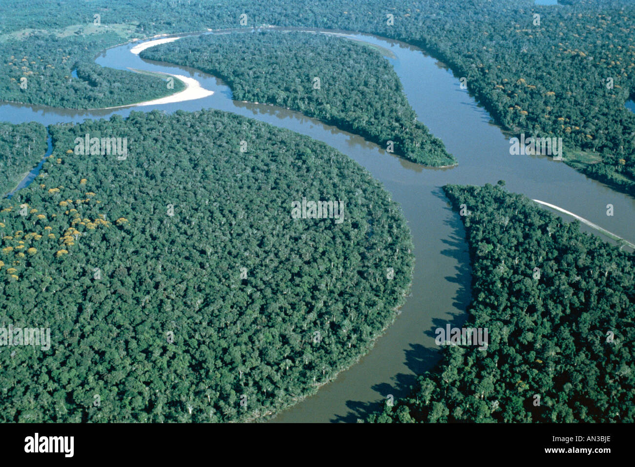 Цвет амазония. Река укаяли перу. Амазонка и миссисипи. Исток реки амазонка. Амазонка и миссисипи.