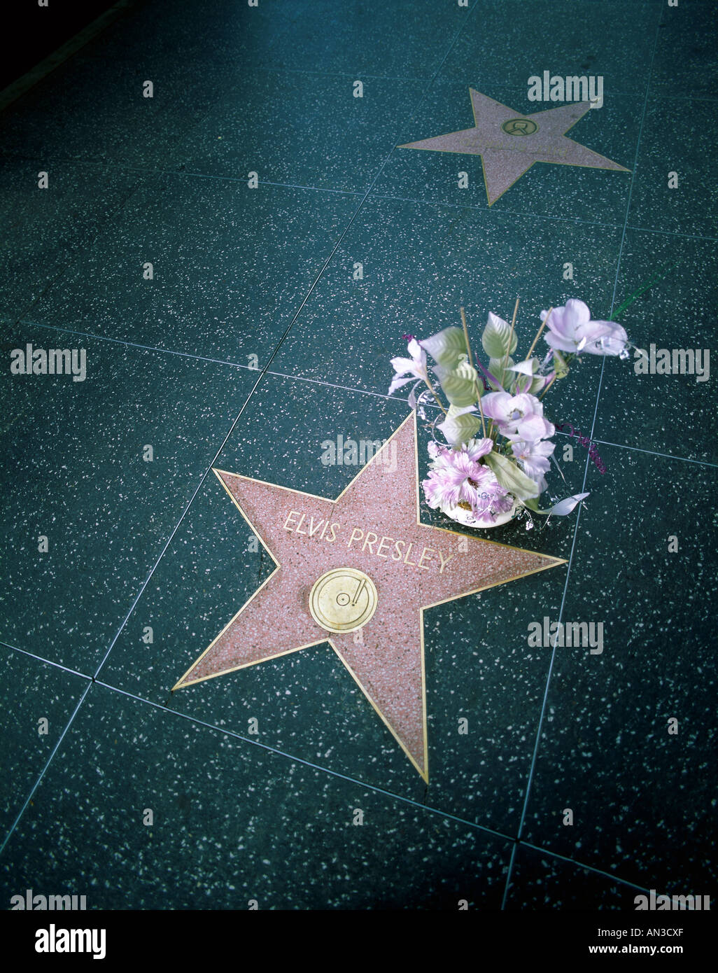 Hollywood / Hollywood Boulevard / Walk of Fame / Elvis Presley Star & Flower Bouquet, Los Angeles, California, USA Stock Photo