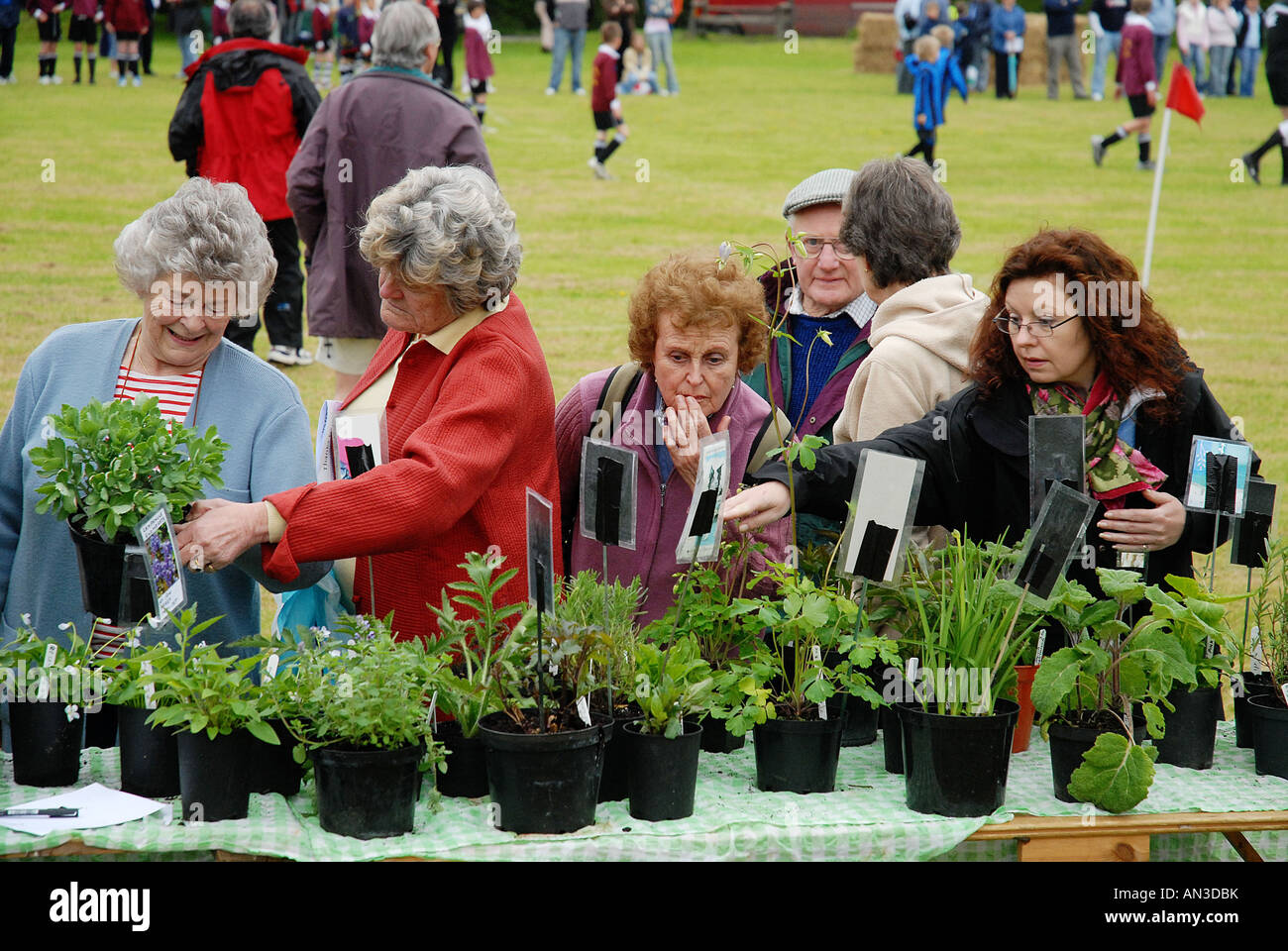 village green plant sale Stock Photo Alamy