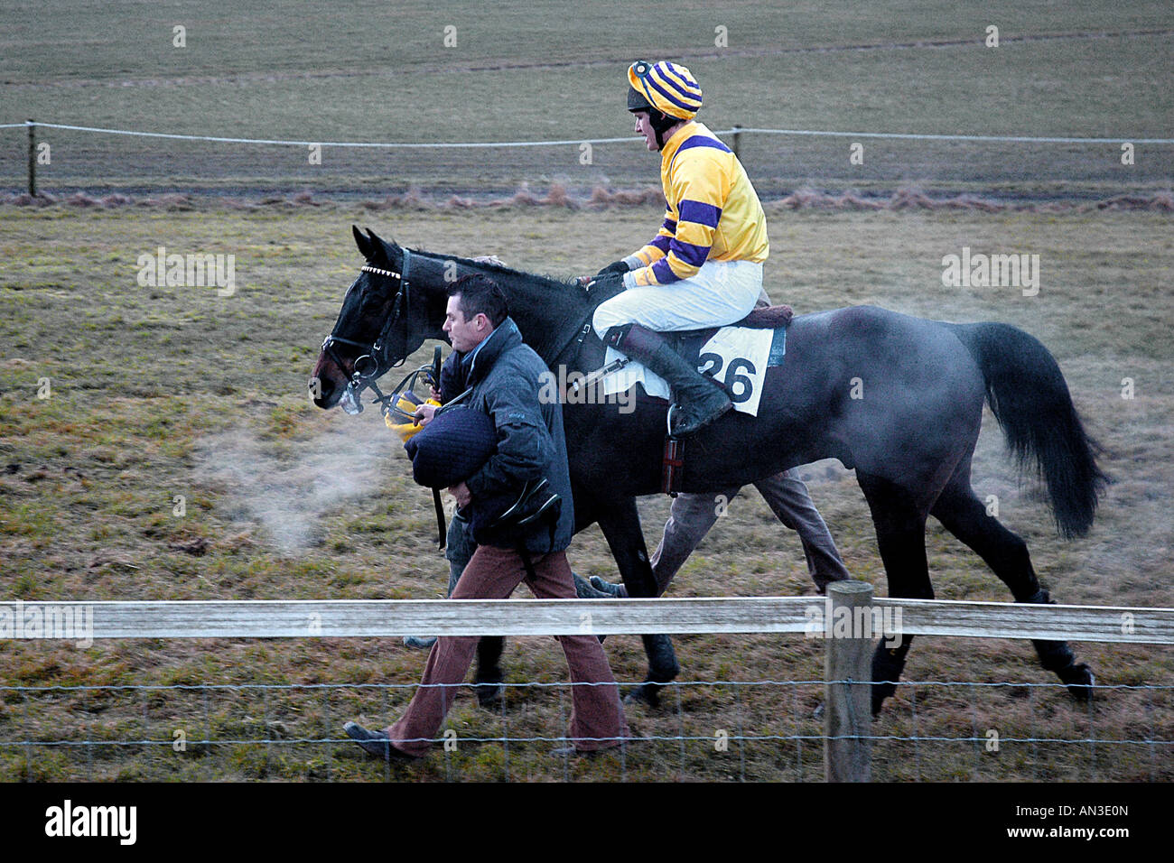 mounted racehorse being led Stock Photo - Alamy
