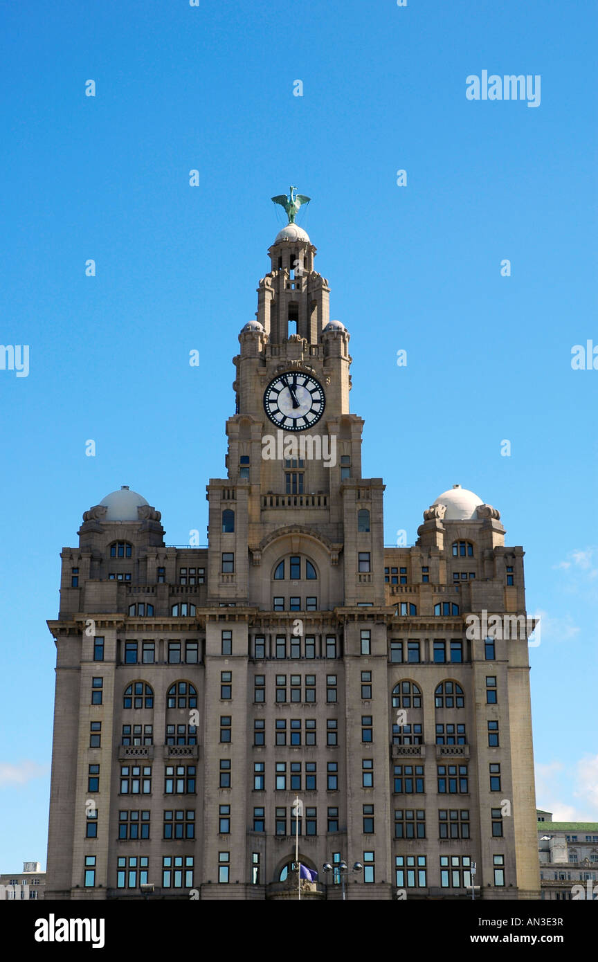 the liver building,liverpool Stock Photo Alamy