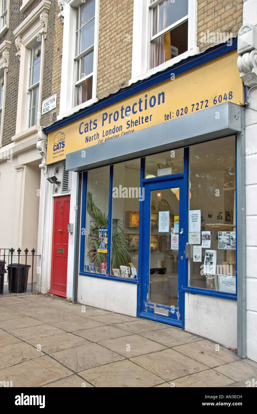 Cats Protection North London Shelter Archway Holloway England UK Stock Photo Alamy