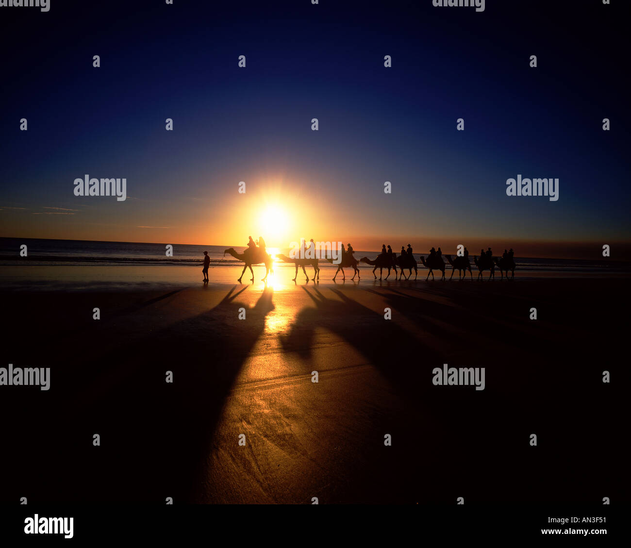 Camels at sunset Cable Beach Broome WA Australia Stock Photo