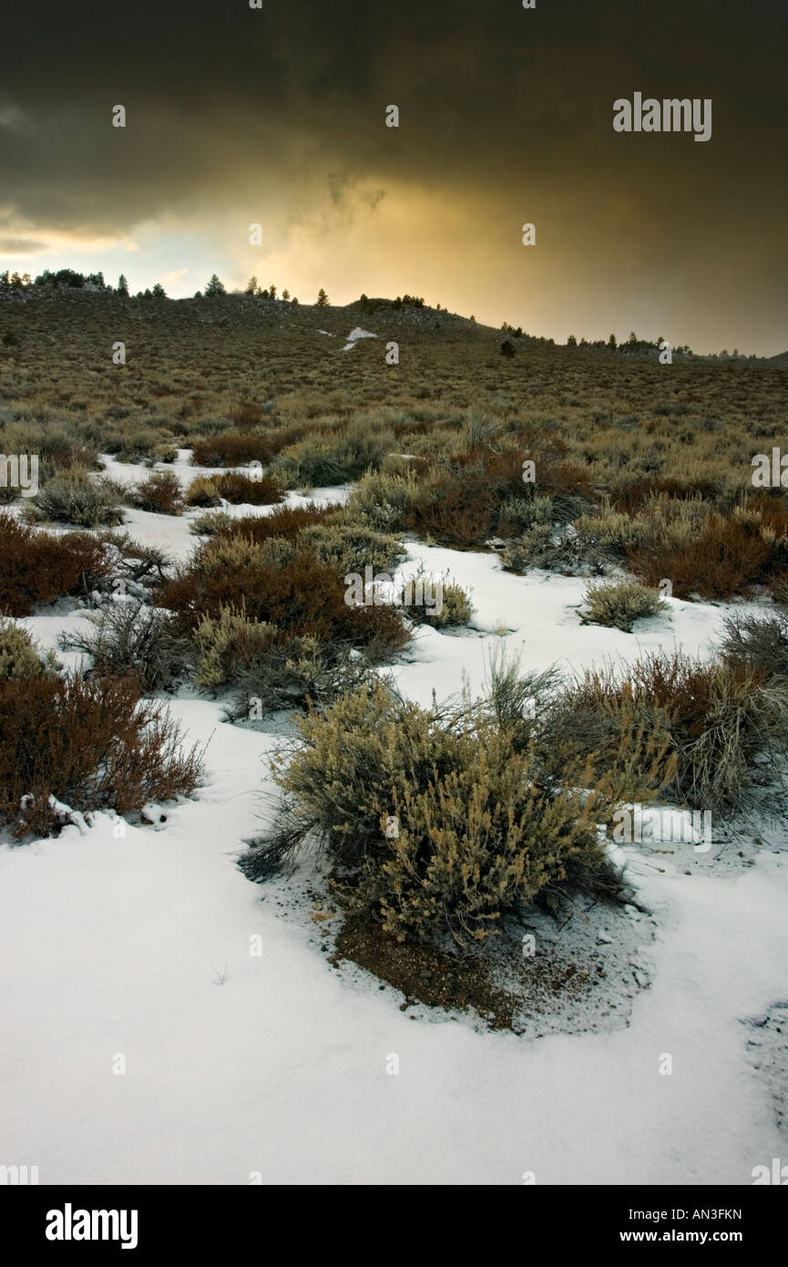 Late autumn sunrise in Ruby mountains, Nevada Stock Photo