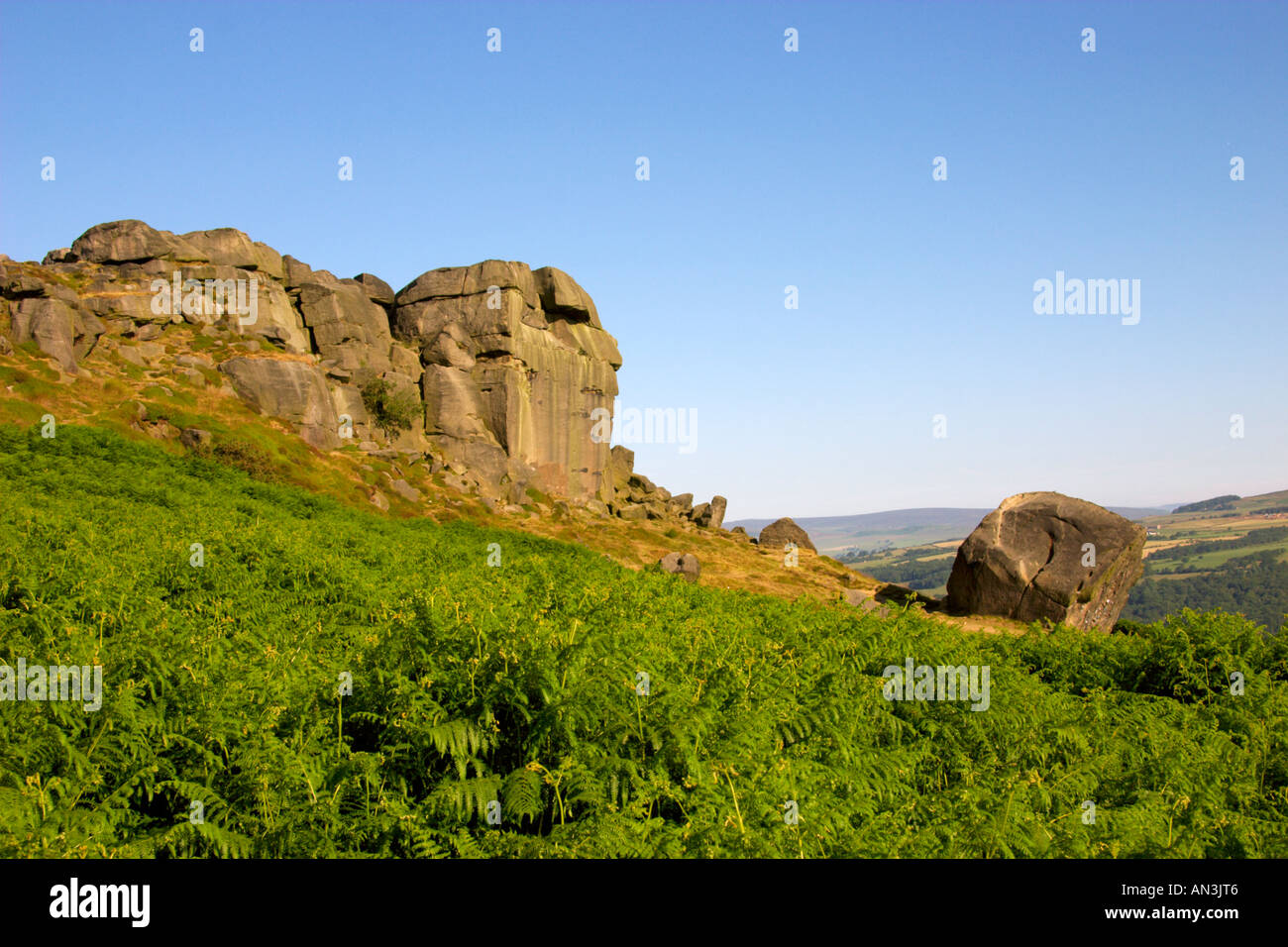 Cow and Calf rock formation Ilkley Yorkshire UK Stock Photo Alamy