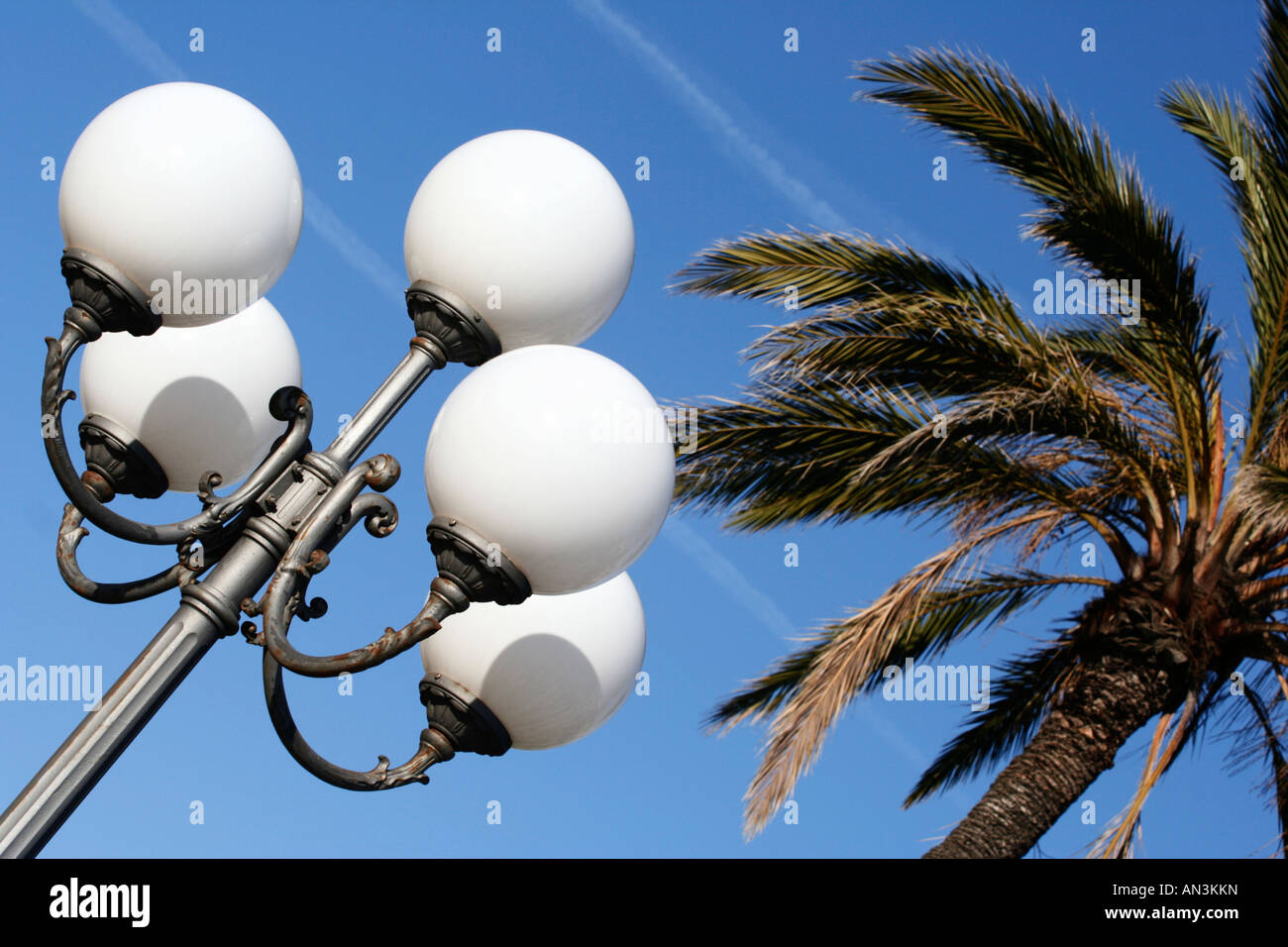 Street light and palm tree Stock Photo - Alamy
