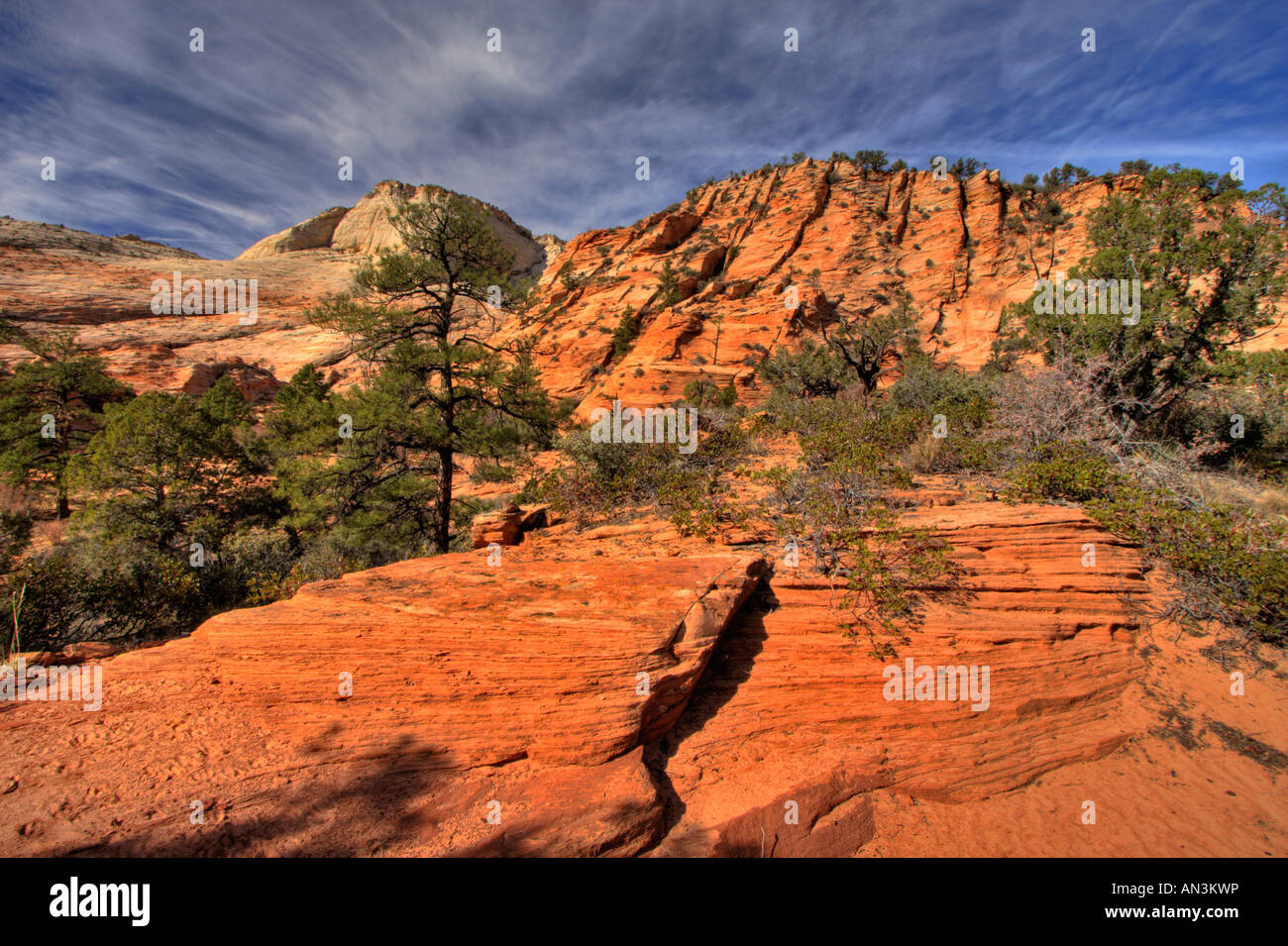 Checkerboard mesa in zion national park Stock Photo Alamy