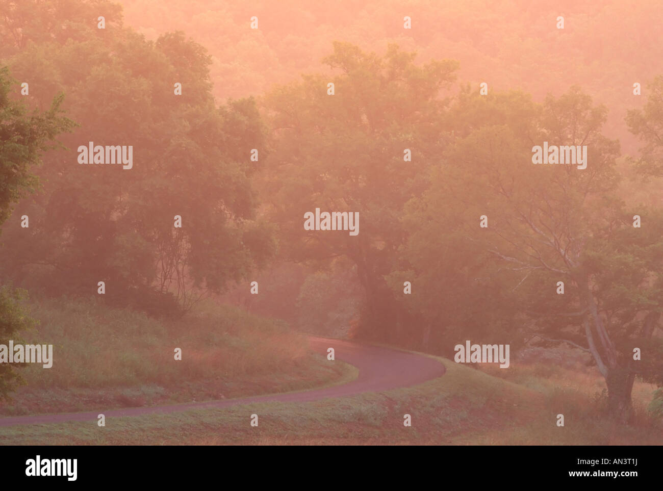 road morning fog Stock Photo - Alamy