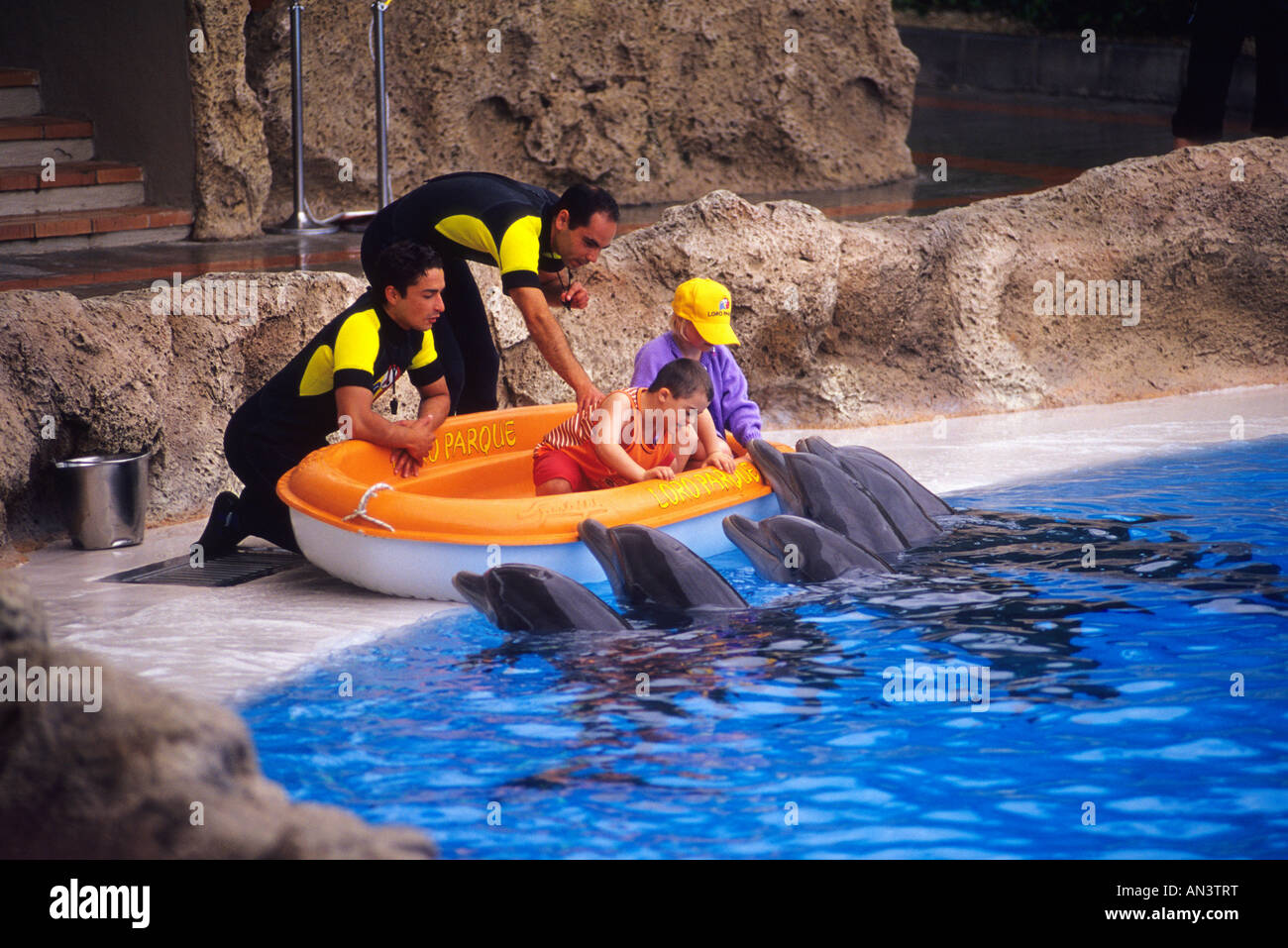 Dolphins in LORO Park in Puerto de la Cruz TENERIFE ISLAND Canary Islands SPAIN Stock Photo