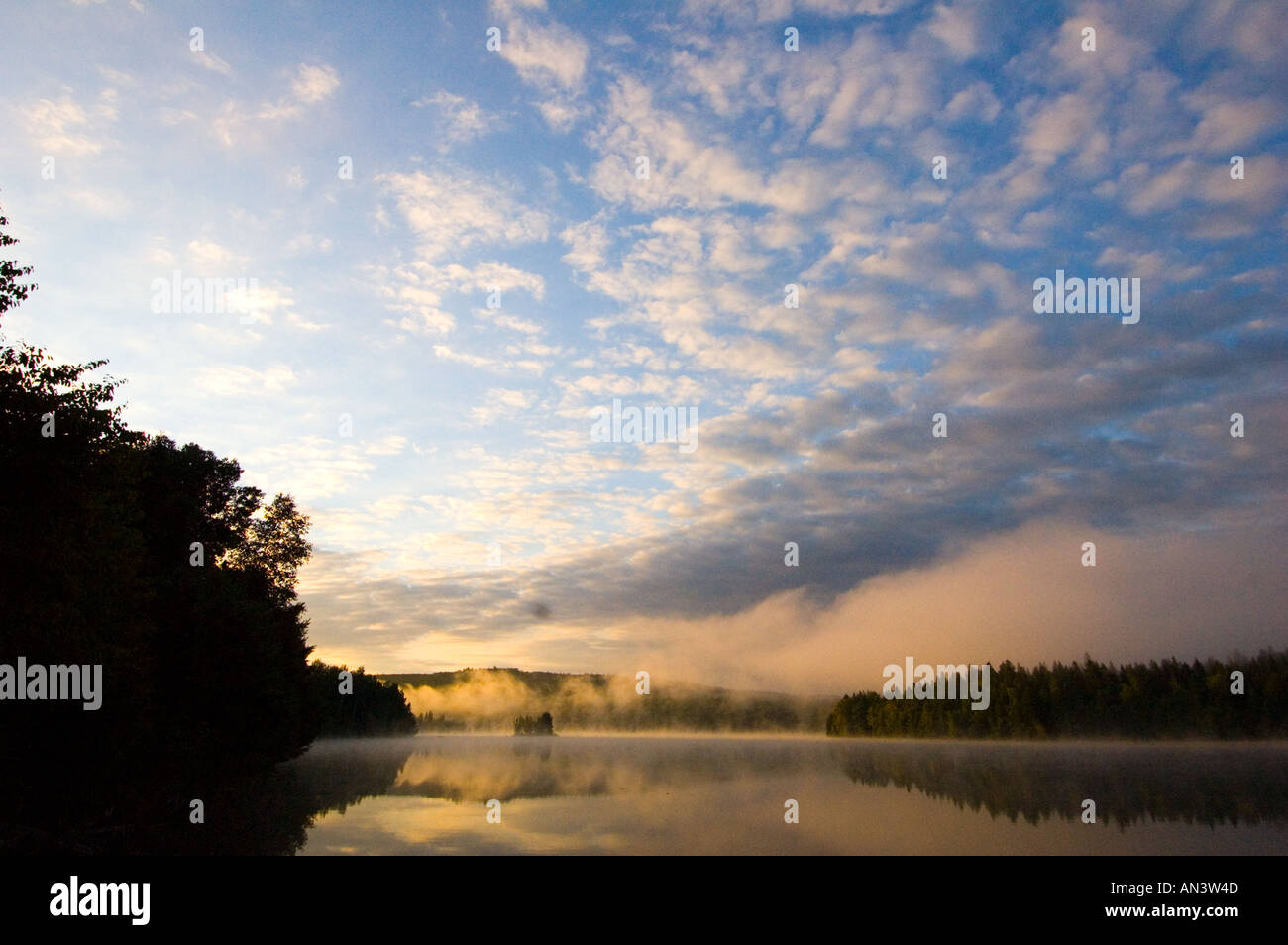 Morning fog over boreal forest hi-res stock photography and images - Alamy