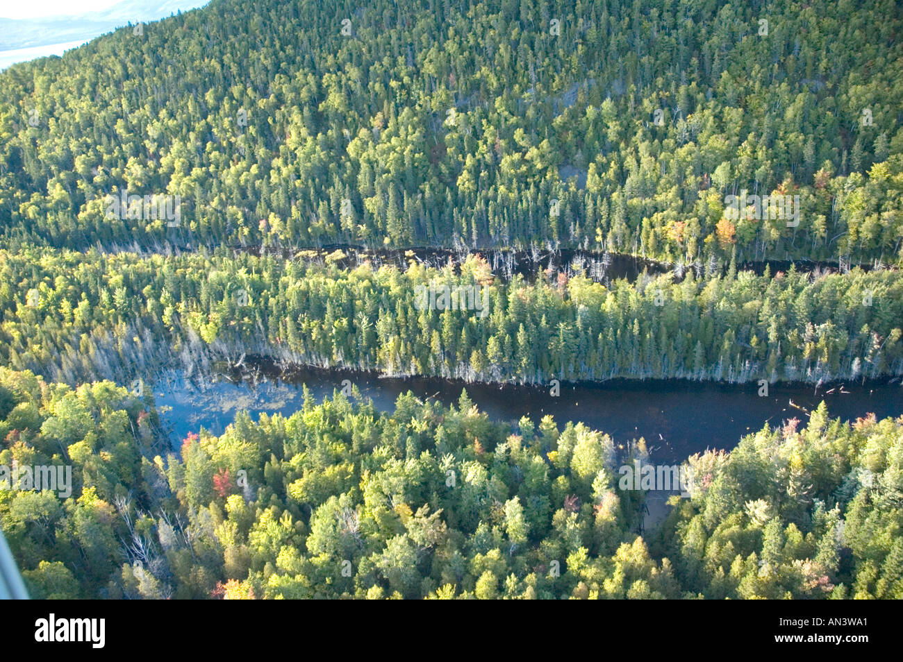 Mixed hardwood and softwood forest with small lake beaver pond near Dalhousie New Brunswick Canada Stock Photo