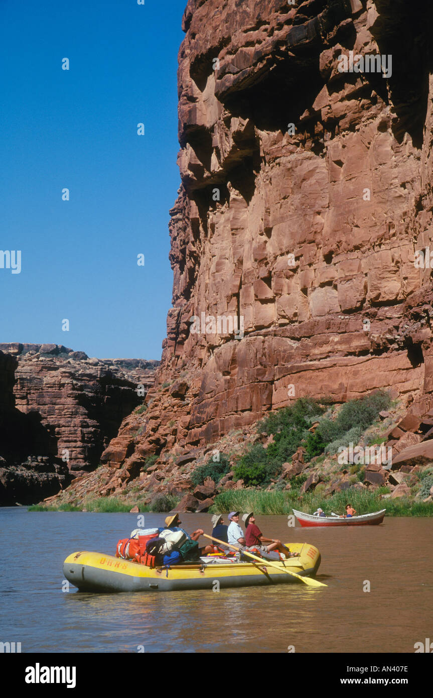 San Juan River Utah USA Rafters looking at towering sandstone canyon walls OARS river outfitters trip Stock Photo