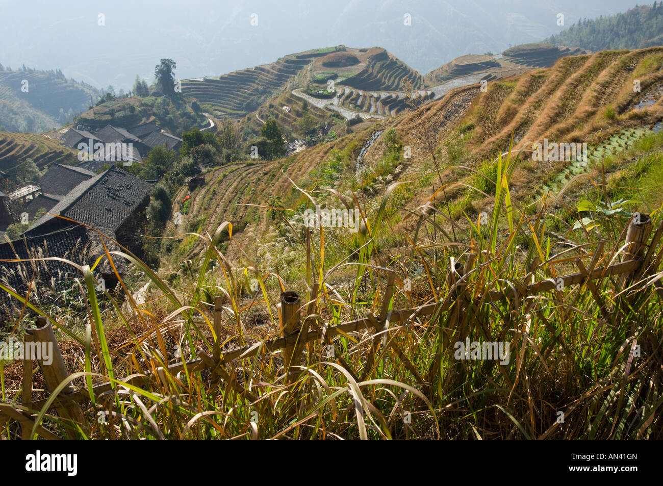 China Guangxi Ping an village Dragon Backbone Rice Terraces elevated ...