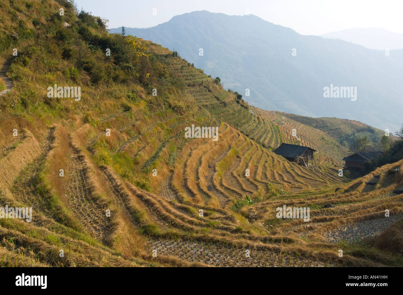 China Guangxi Ping an village Dragon Backbone Rice Terraces panoramic ...