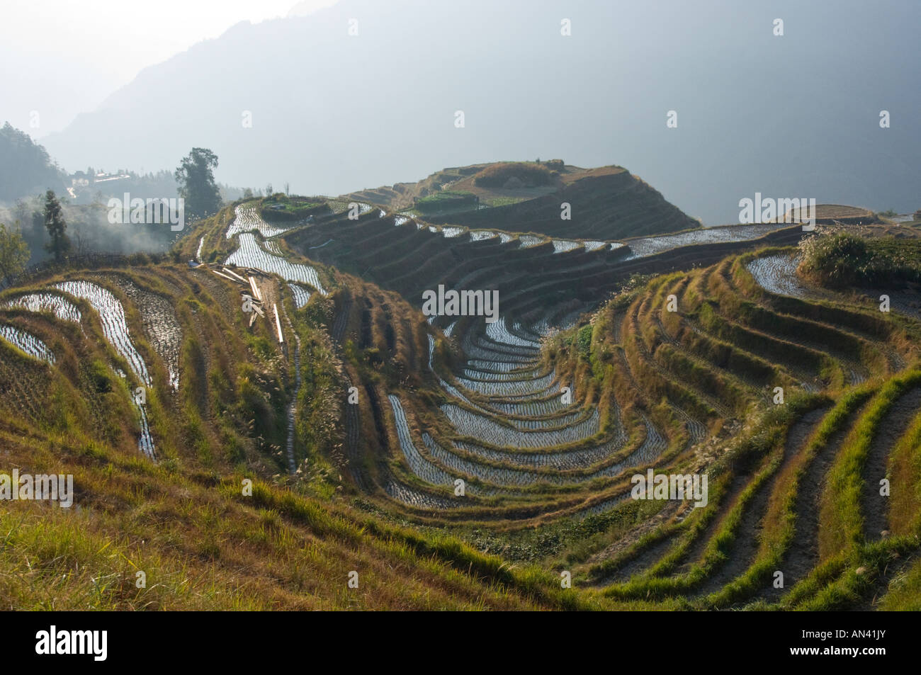 China Guangxi Ping an village Dragon Backbone Rice Terraces panoramic ...