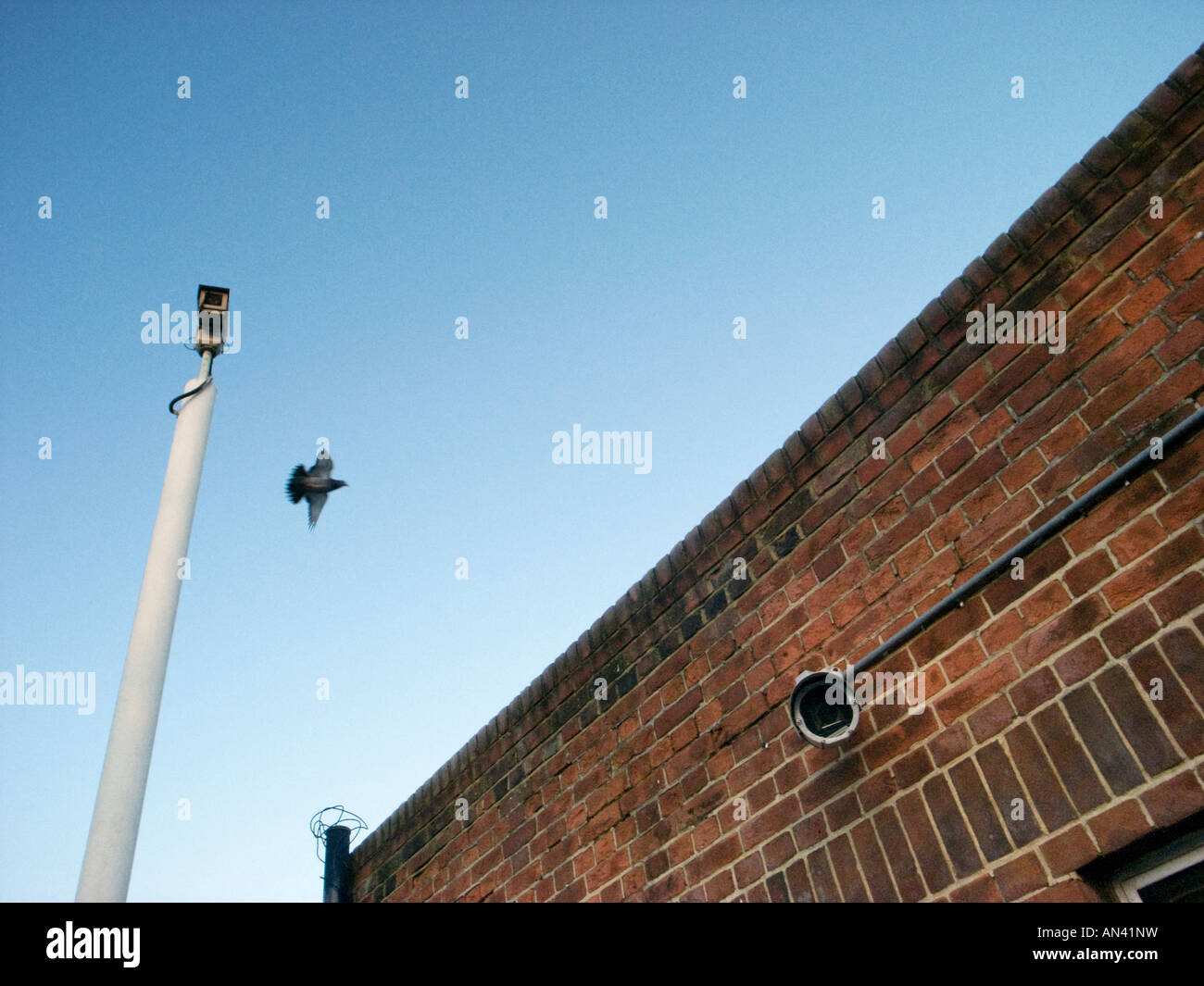surveillance cameras ,London,England Stock Photo Alamy