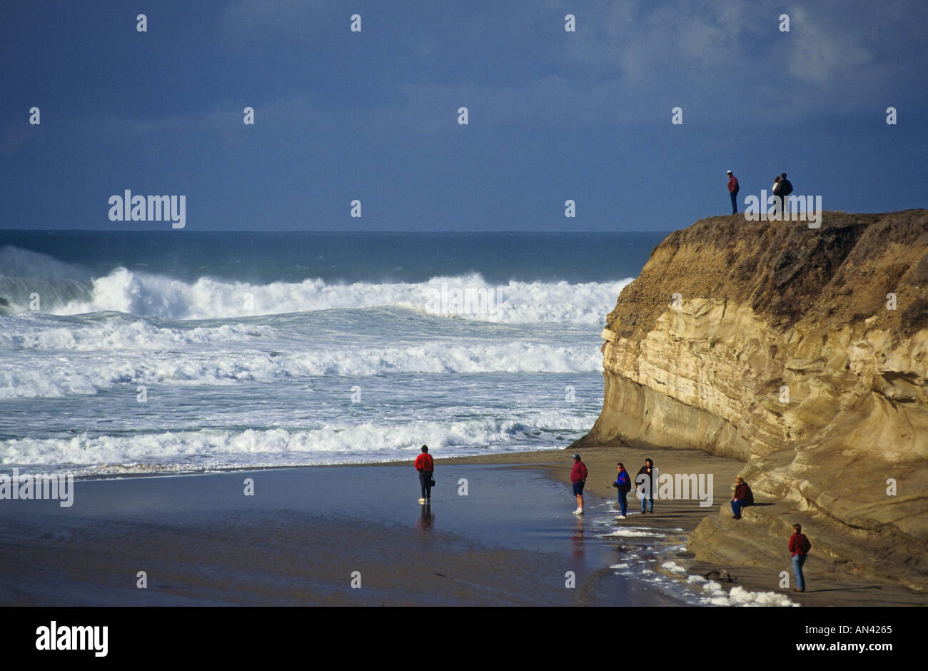 California San Mateo County San Gregorio State Beach visitors wave watching Stock Photo