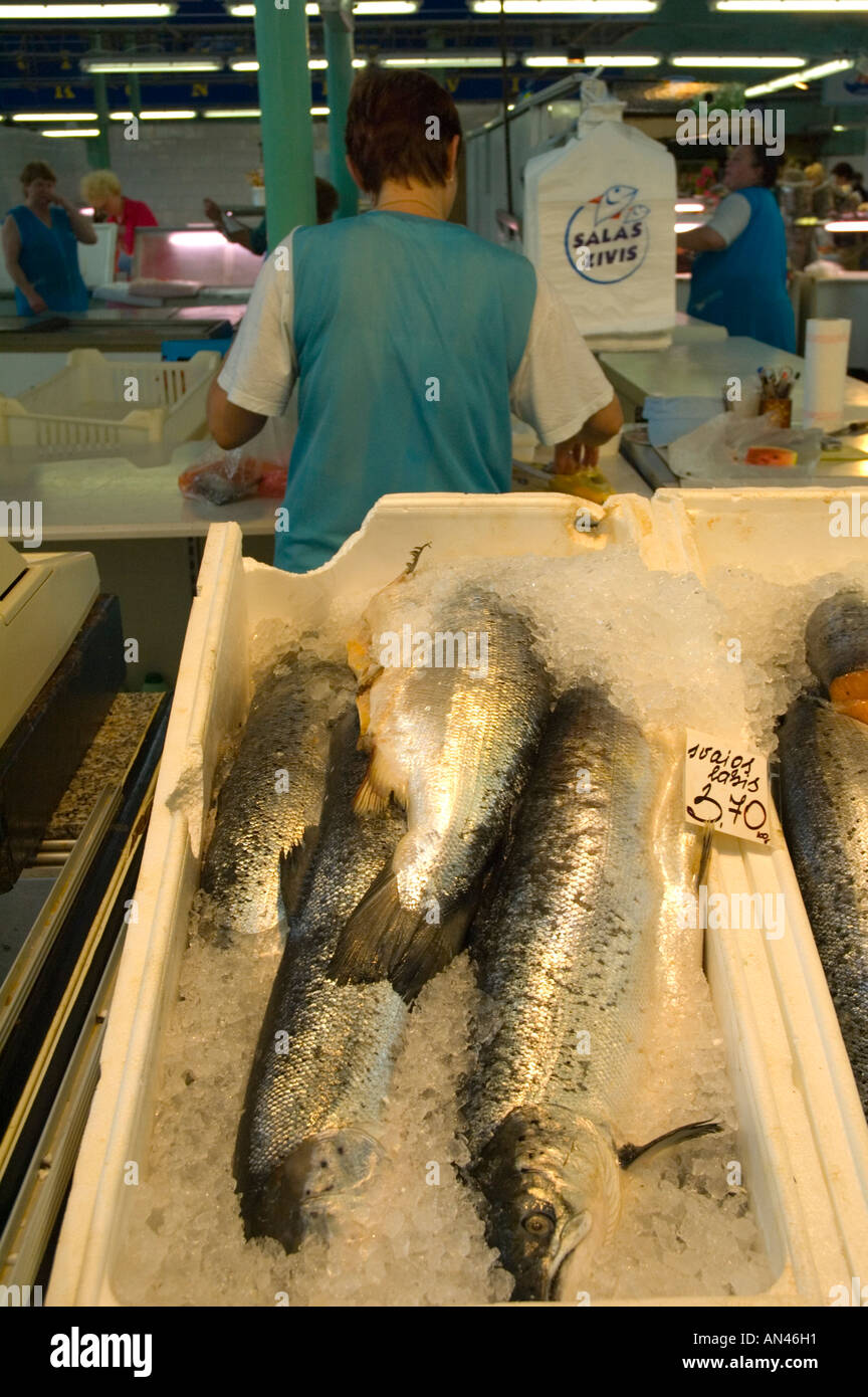 Fresh fish at a market Stock Photo Alamy