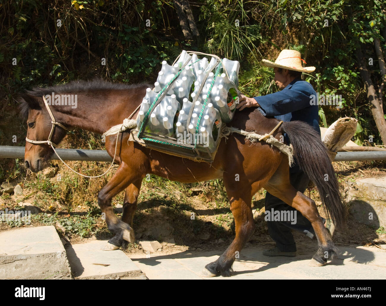 Horse Carrying Load High Resolution Stock Photography and Images Alamy