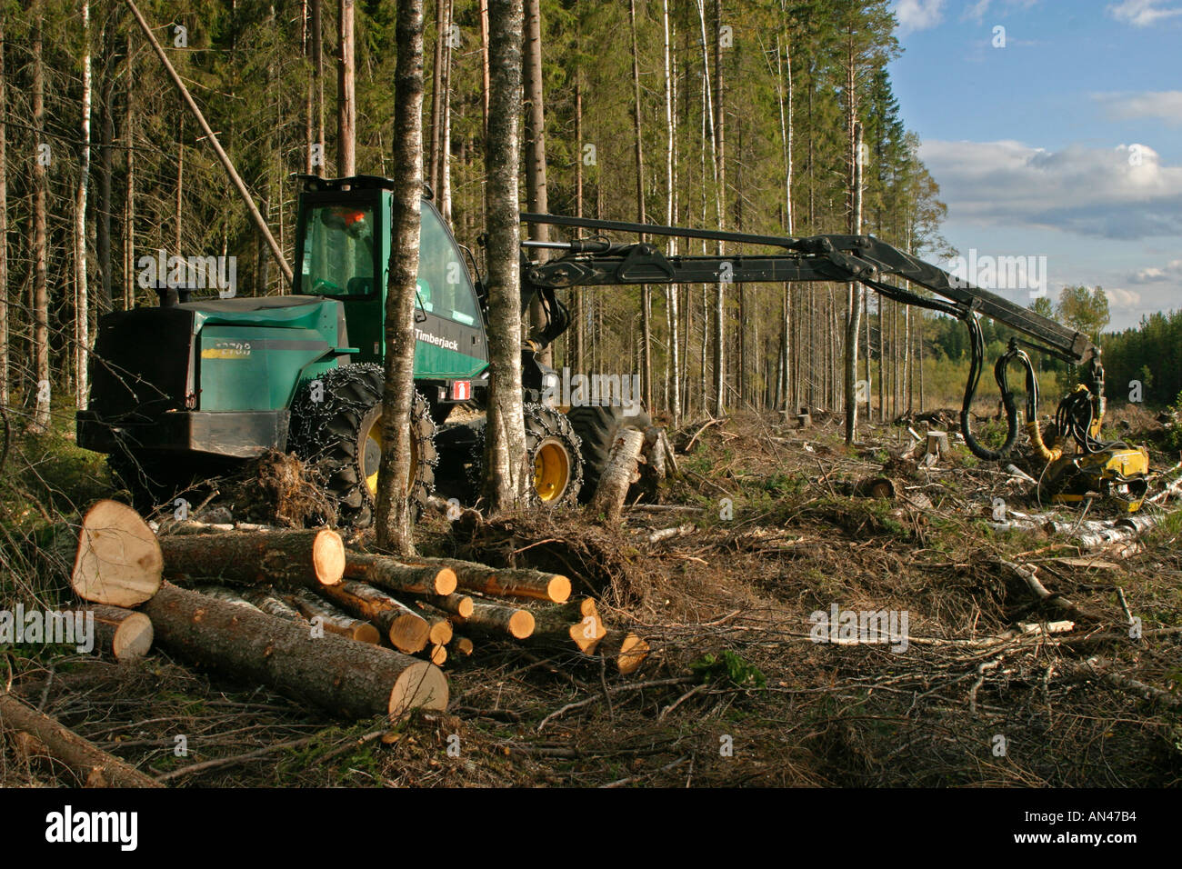 Timberjack hires stock photography and images Alamy