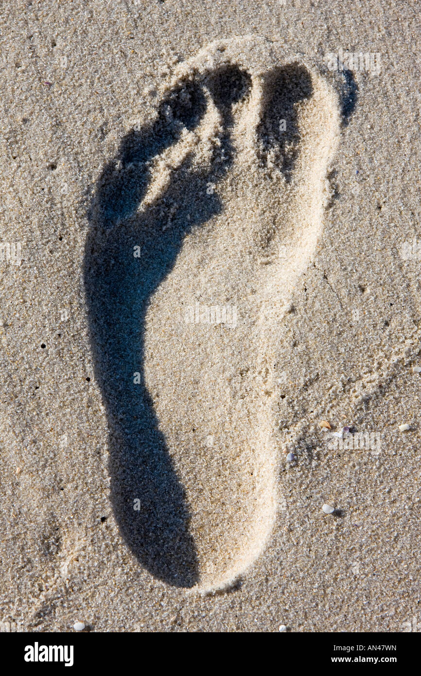 Footprint in the sand Stock Photo