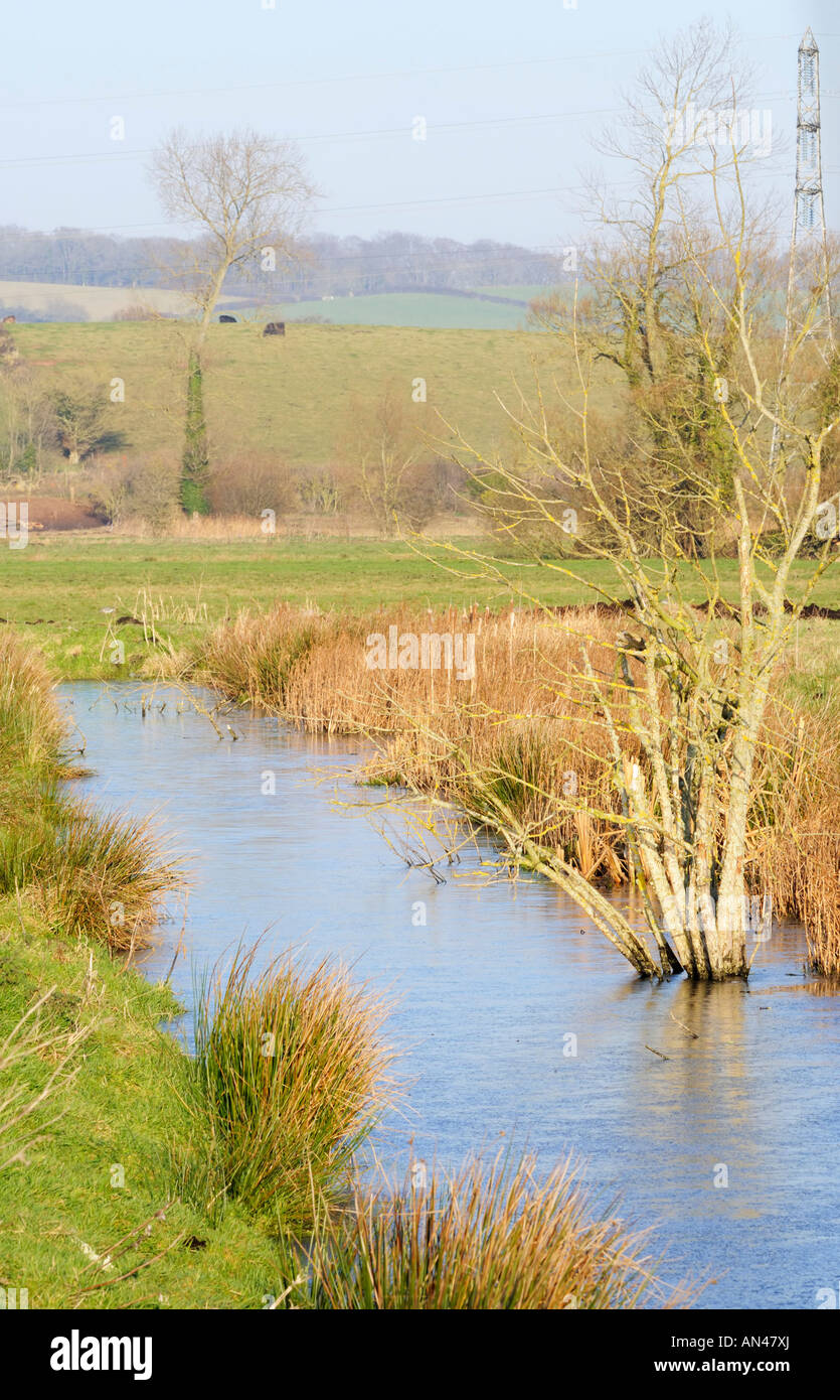 Frozen Rhyne on Somerset Levels Stock Photo