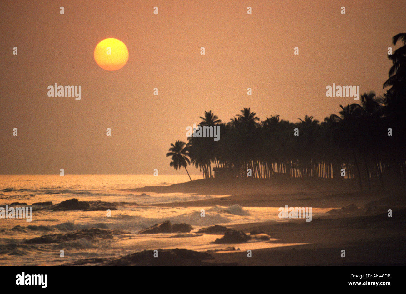 Sunset Beach Palms Elmina Ghana West Africa Stock Photo