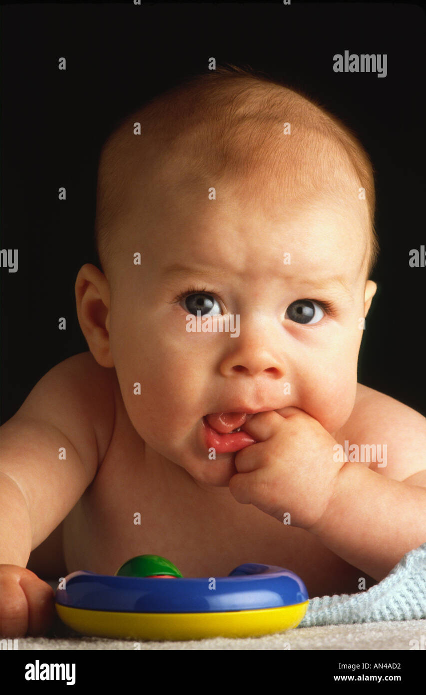 Dmp70386 hires stock photography and images Alamy